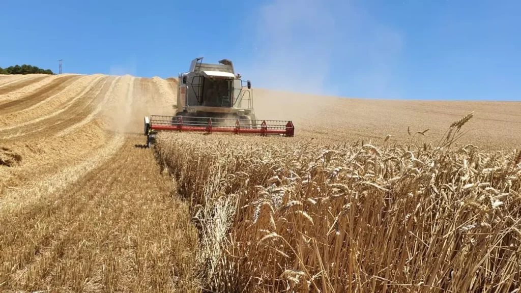 Agricultura