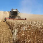 Agricultura